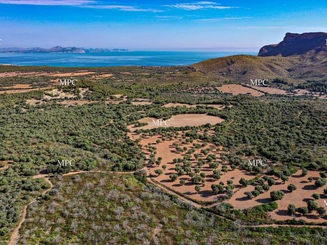 Finca/Casa Rural en venta en Artà, Mallorca