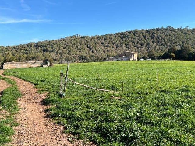 Finca/Casa Rural en venta en Artà, Mallorca