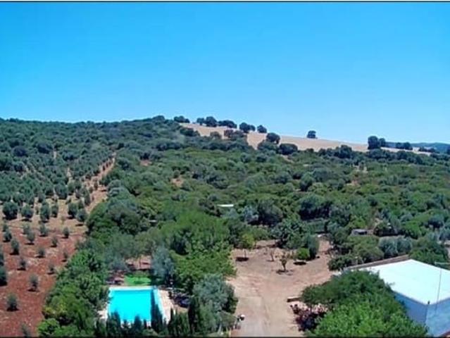 Finca/Casa Rural en venta en Arcos de la Frontera, Cádiz