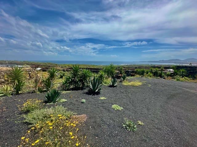 Finca/Casa Rural en venta en Arrieta, Lanzarote