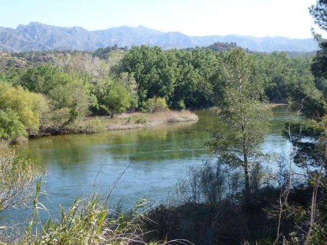 Finca/Casa Rural en venta en Ascó, Tarragona