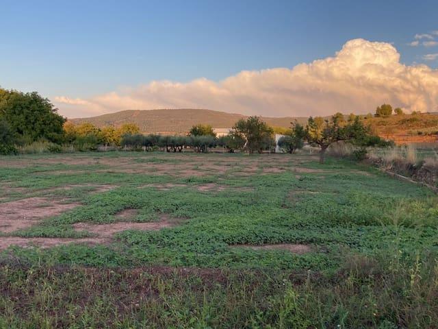 Finca/Casa Rural en venta en Ayora, Valencia
