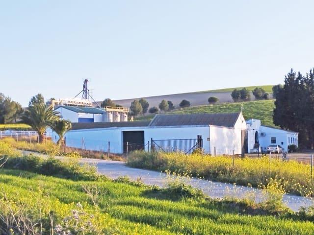 Finca/Casa Rural en venta en Bornos, Cádiz