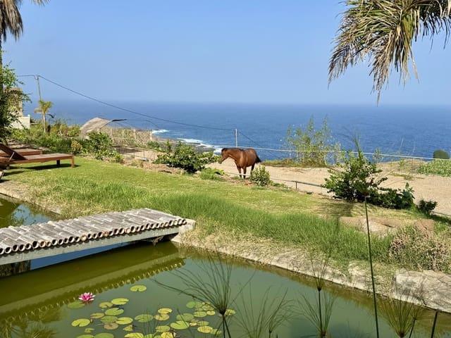 Finca/Casa Rural en venta en Buenavista del Norte, Tenerife