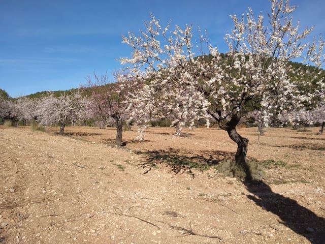 Finca/Casa Rural en venta en Bullas, Murcia