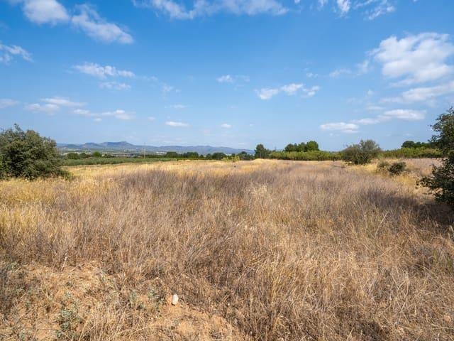 Finca/Casa Rural en venta en Ginestar, Tarragona