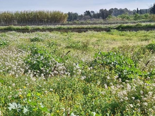 Finca/Casa Rural en venta en Ginestar, Tarragona