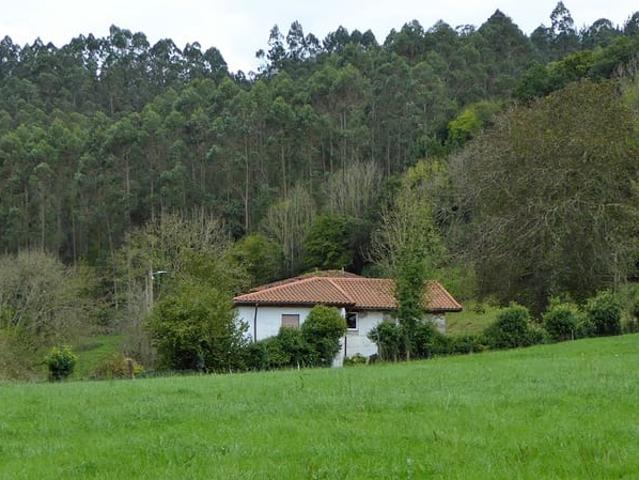 Finca/Casa Rural en venta en Grado, Asturias