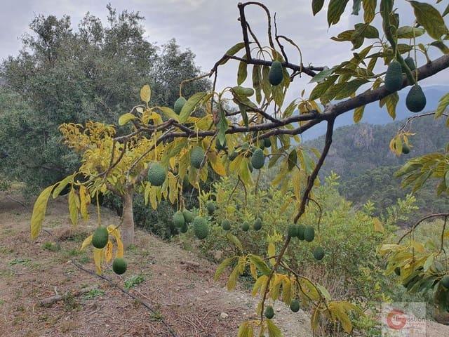 Finca/Casa Rural en venta en Guajar Alto, Granada Costa Tropical