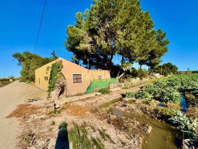 Finca/Casa Rural en venta en Guardamar del Segura, Alicante Costa Blanca