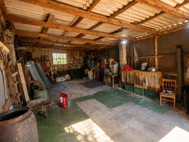 Finca/Casa Rural en venta en Dolores, Alicante