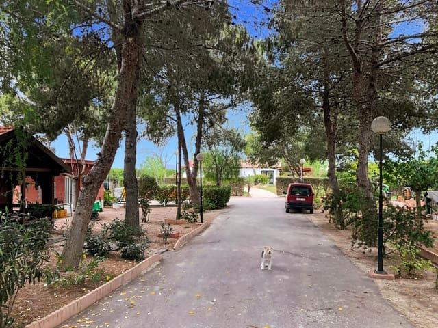 Finca/Casa Rural en venta en Dolores, Alicante
