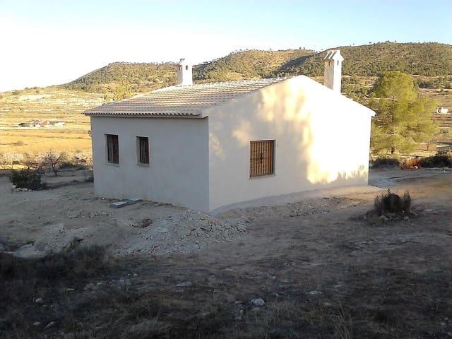 Finca/Casa Rural en venta en Pinoso, Alicante
