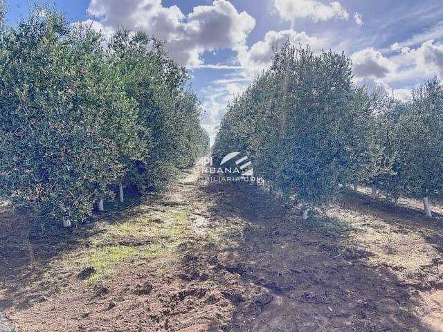 Finca/Casa Rural en venta en Ecija, Sevilla