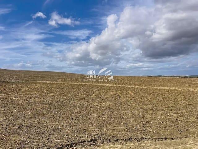 Finca/Casa Rural en venta en Ecija, Sevilla