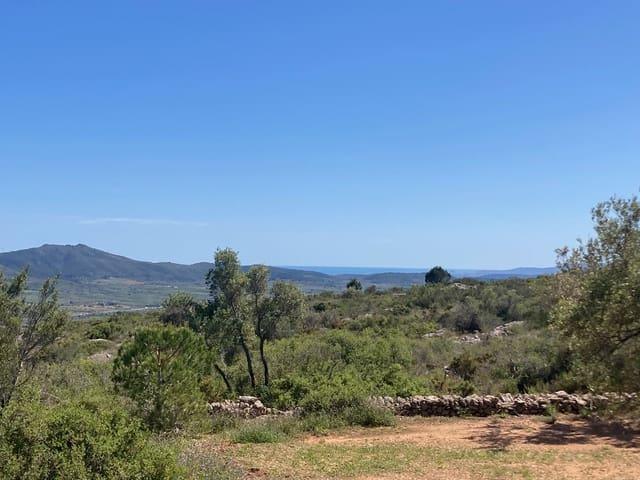 Finca/Casa Rural en venta en El Perelló, Tarragona Costa Dorada