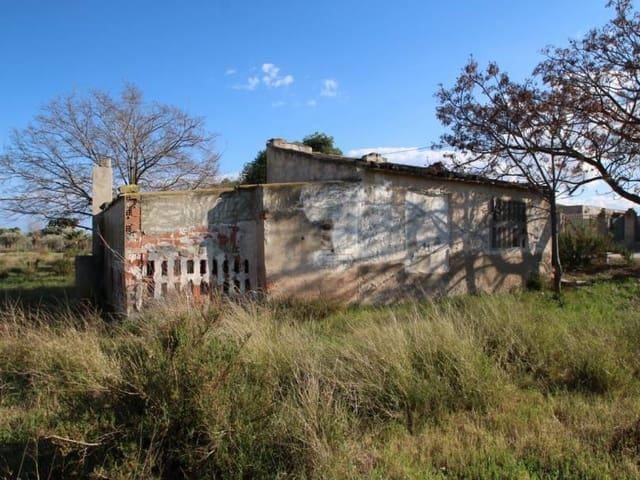 Finca/Casa Rural en venta en Elche / Elx, Alicante