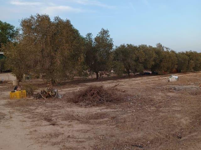 Finca/Casa Rural en venta en Elche / Elx, Alicante