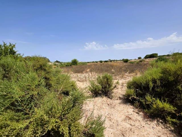 Finca/Casa Rural en venta en Elche / Elx, Alicante