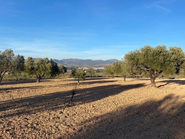 Finca/Casa Rural en venta en Elda, Alicante