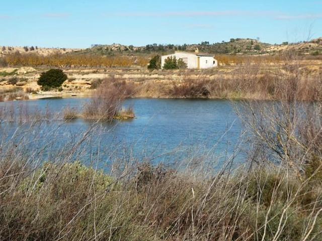 Finca/Casa Rural en venta en Fabara, Zaragoza
