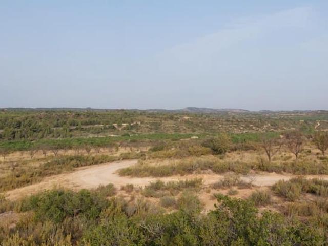 Finca/Casa Rural en venta en Fabara, Zaragoza