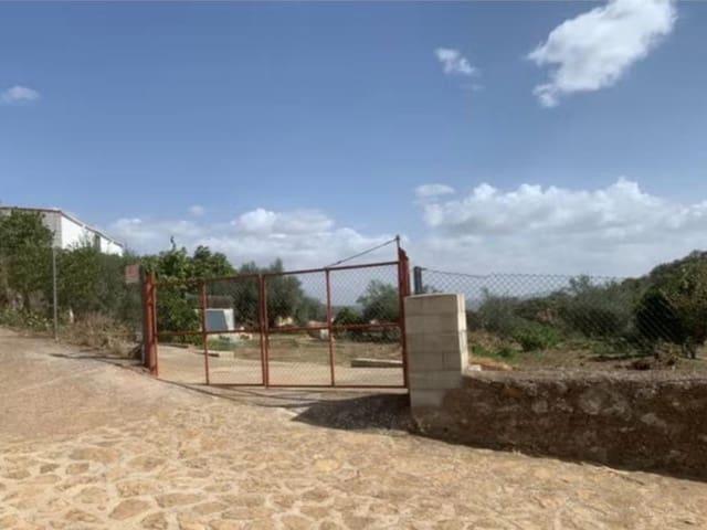 Finca/Casa Rural en venta en Fuente Obejuna, Córdoba