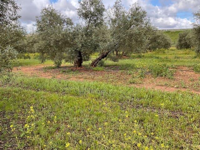 Finca/Casa Rural en venta en Fuente de Piedra, Málaga