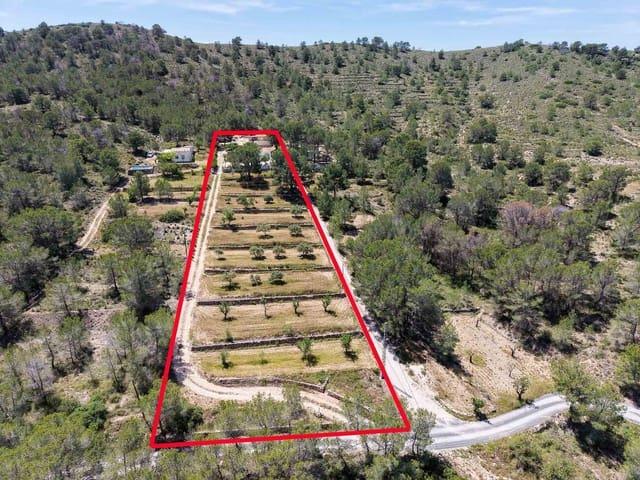 Finca/Casa Rural en venta en Hondón de las Nieves, Alicante
