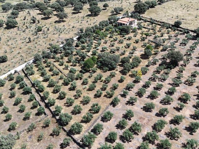 Finca/Casa Rural en venta en Herguijuela, Cáceres
