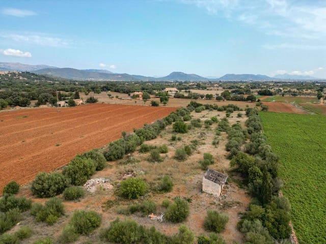 Finca/Casa Rural en venta en Inca, Mallorca