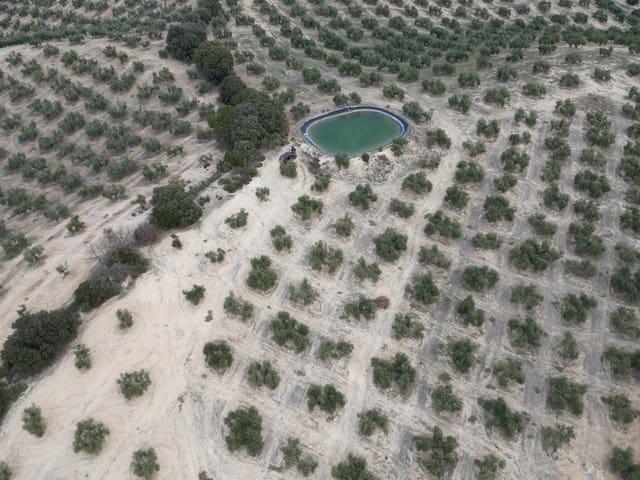Finca/Casa Rural en venta en Iznalloz, Granada