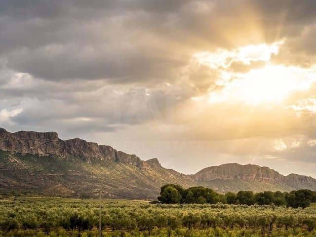 Finca/Casa Rural en venta en Jumilla, Murcia