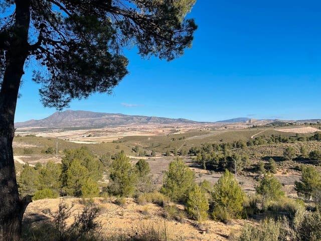 Finca/Casa Rural en venta en La Zarza, Murcia