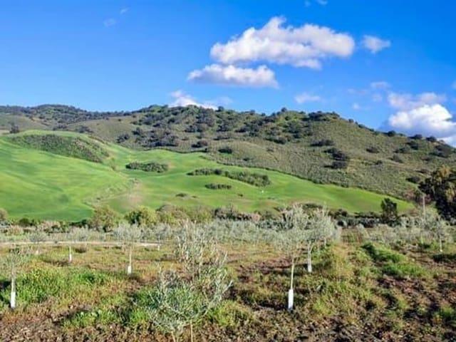 Finca/Casa Rural en venta en Olvera, Cádiz