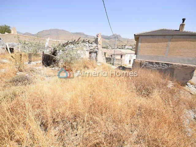 Finca/Casa Rural en venta en Oria, Almería