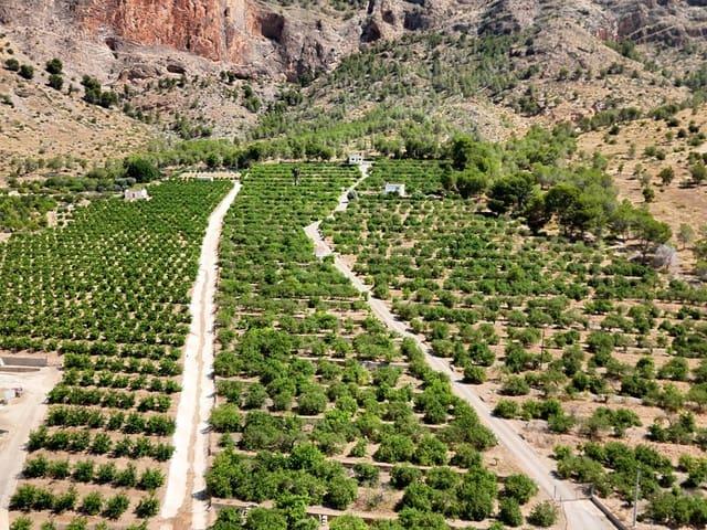 Finca/Casa Rural en venta en Orihuela, Alicante