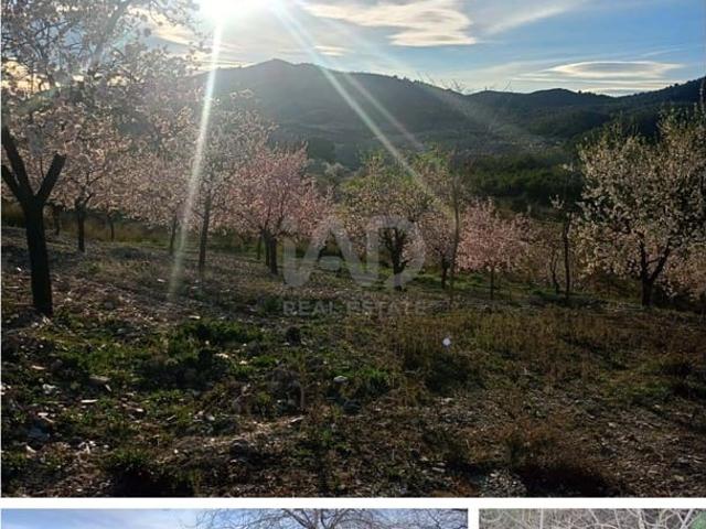 Finca/Casa Rural en venta en Lorca, Murcia