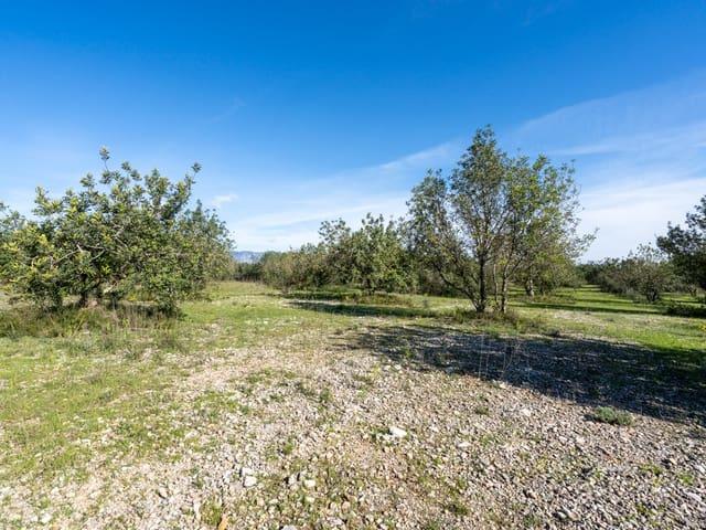 Finca/Casa Rural en venta en La Galera, Tarragona