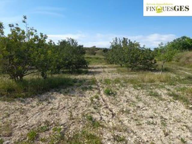 Finca/Casa Rural en venta en La Secuita, Tarragona