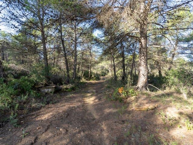 Finca/Casa Rural en venta en La Pobla de Benifassà, Castellón