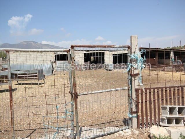Finca/Casa Rural en venta en Murcia, Murcia