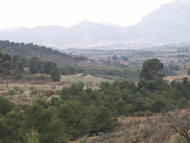 Finca/Casa Rural en venta en Torremanzanas, Alicante