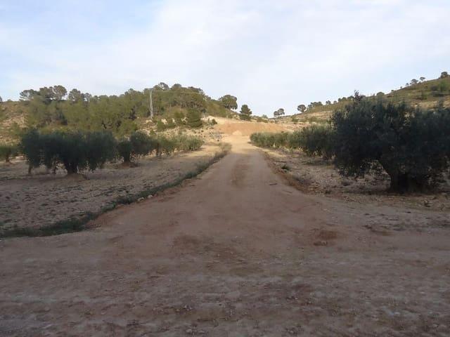 Finca/Casa Rural en venta en La Zarza, Murcia