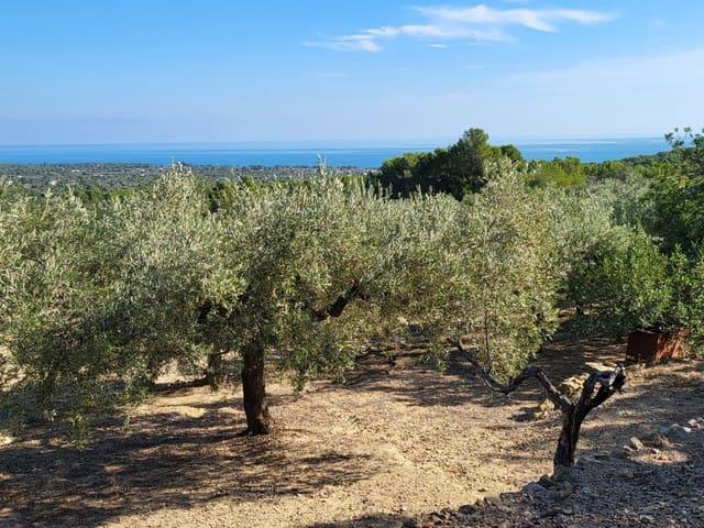 Finca/Casa Rural en venta en L'Ametlla de Mar, Tarragona Costa Dorada