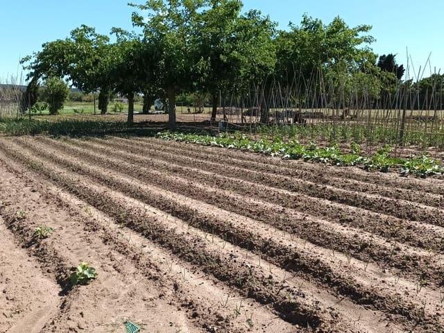 Finca/Casa Rural en venta en L'Estartit, Girona Costa Brava