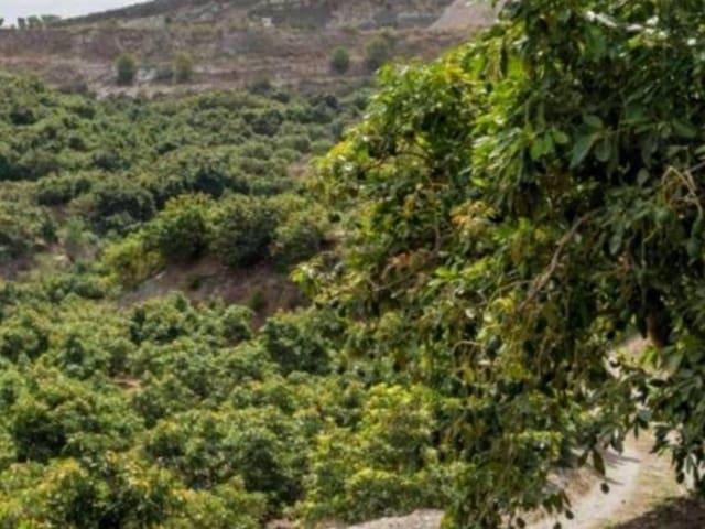 Finca/Casa Rural en venta en Motril, Granada Costa Tropical