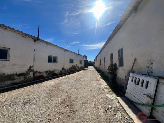 Finca/Casa Rural en venta en Motril, Granada Costa Tropical