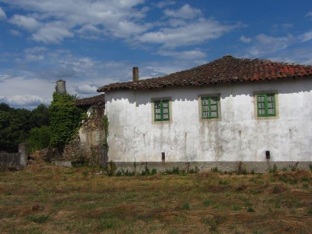 Finca/Casa Rural en venta en Monforte de Lemos, Lugo