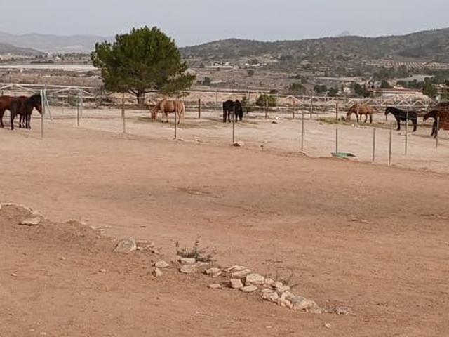 Finca/Casa Rural en venta en Monóvar / Monóver, Alicante